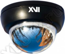 XVI XB631B