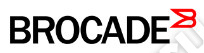 Brocade AD-SNFL-P-1