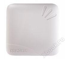 Ruckus Wireless 901-R700-WW00
