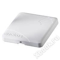 Ruckus Wireless 9U1-T310-XX40